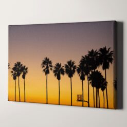 Palm Trees Sunset Basketball