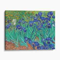 Irises 1889 by Van Gogh