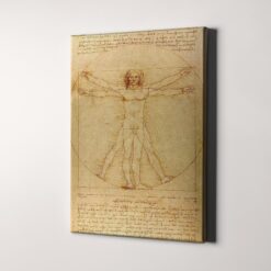 Vitruvian Man Drawing by Leonardo da Vinci
